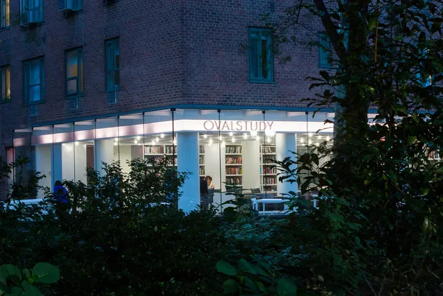 a view of a building with a potted plant