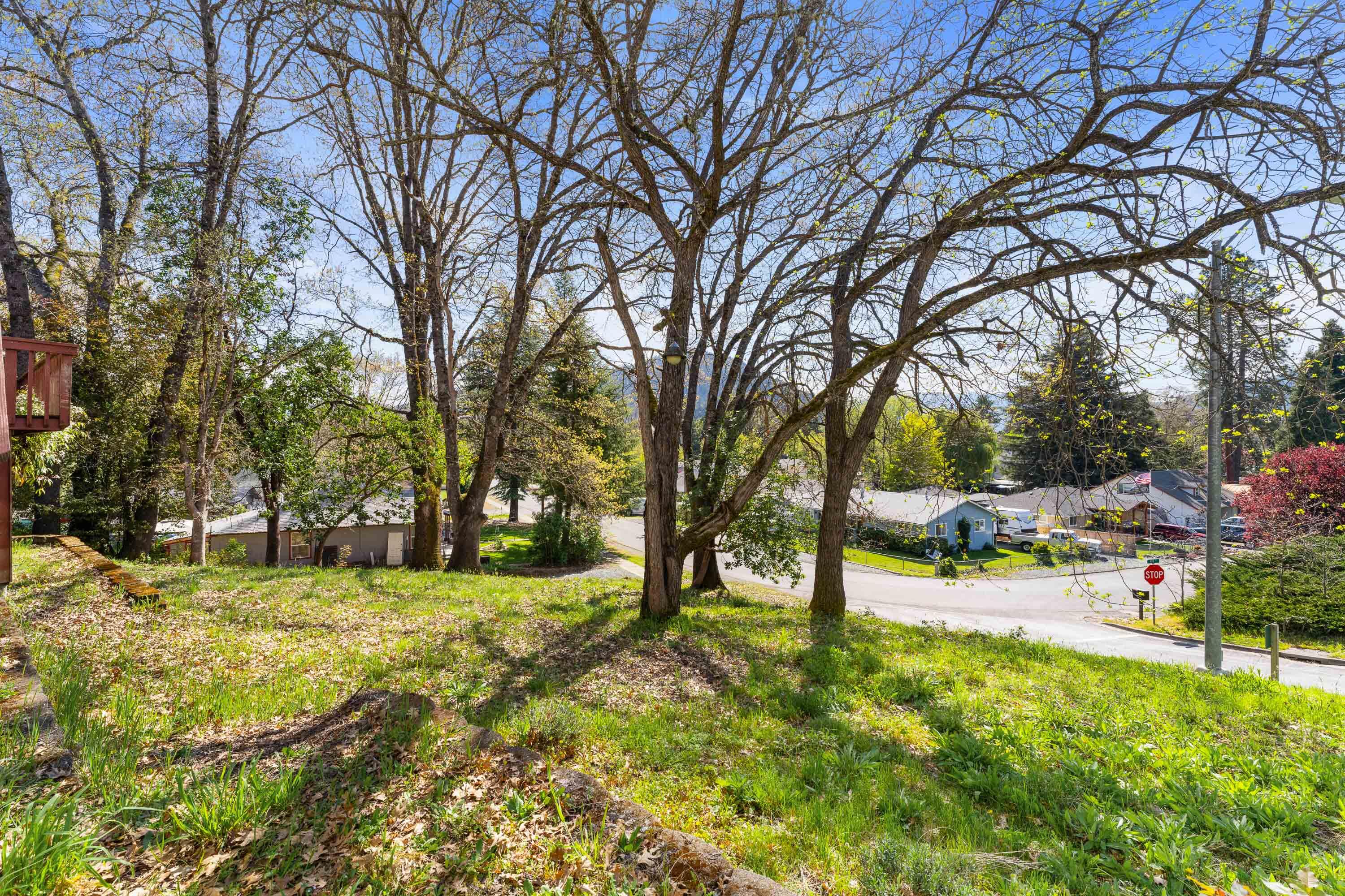 105 Cedar Ridge Terrace Rogue River, OR 97537 - Photo 22 of 23 a view of a park with large trees