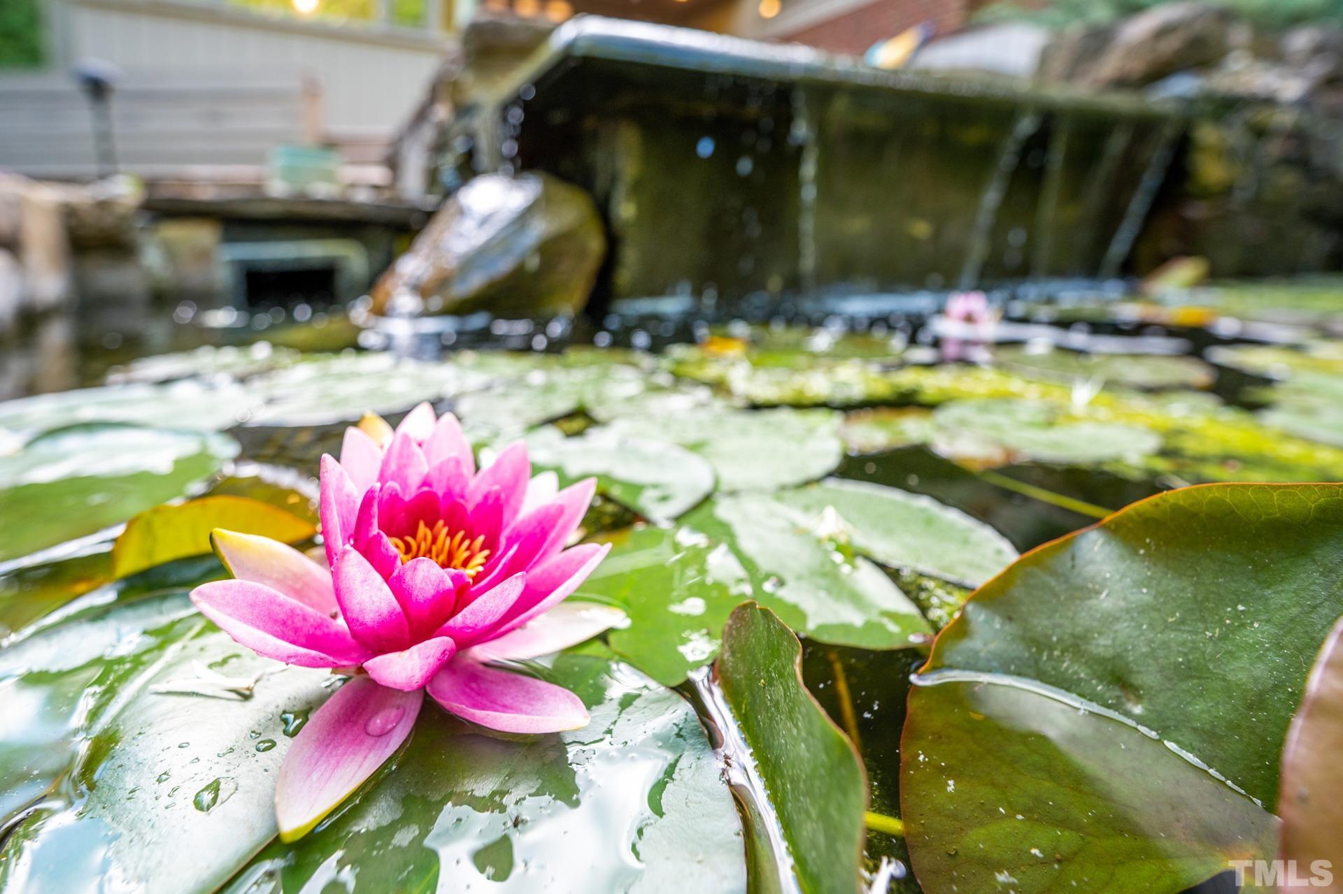 803 Cedar Falls Road Chapel Hill, NC 27514 - Photo 49 of 61