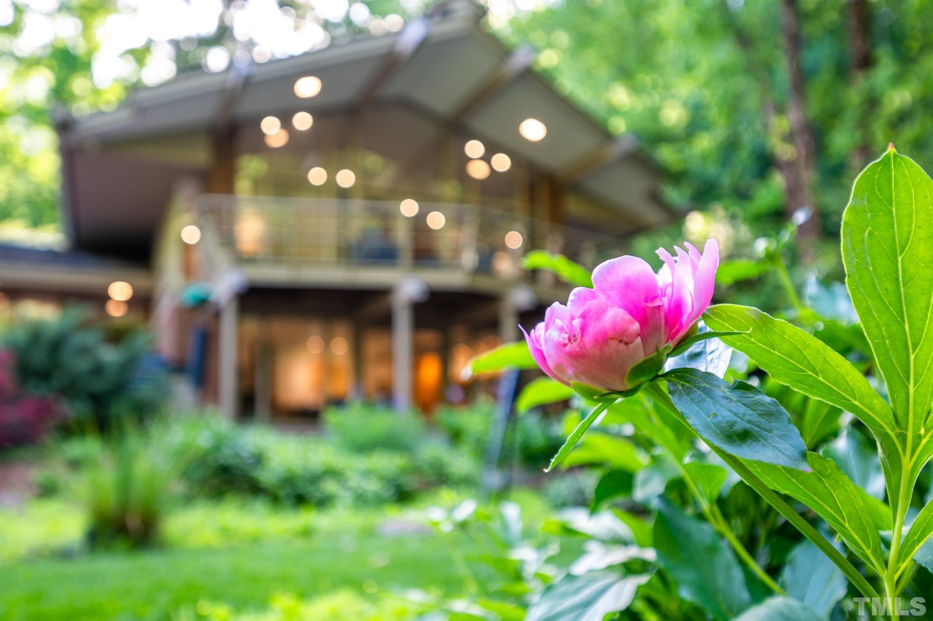 803 Cedar Falls Road Chapel Hill, NC 27514 - Photo 51 of 61