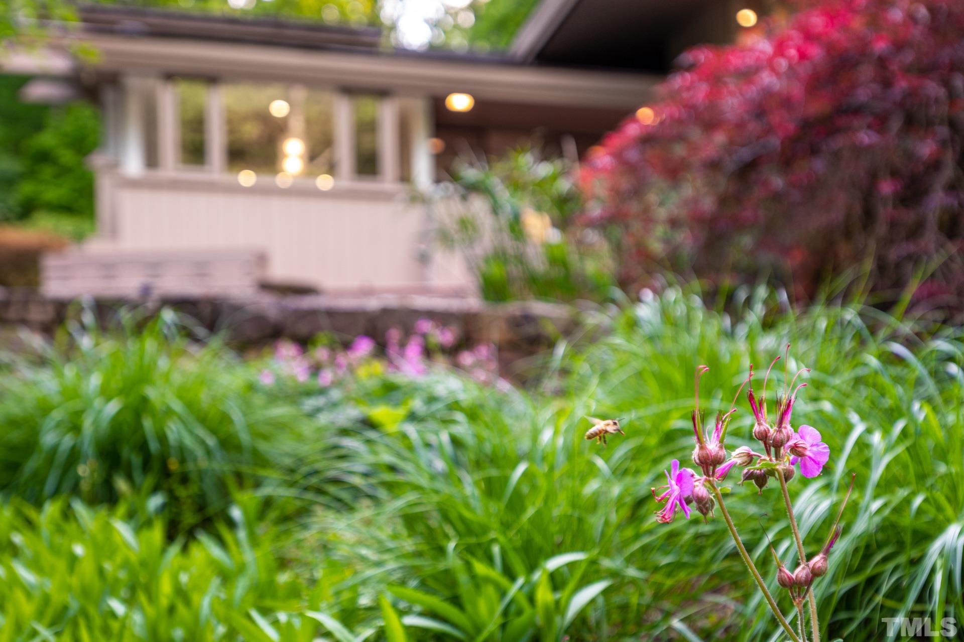 803 Cedar Falls Road Chapel Hill, NC 27514 - Photo 52 of 61 a view of a flower