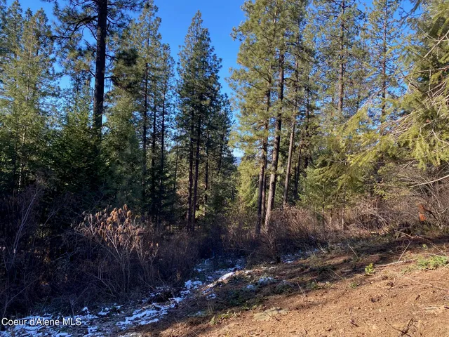 $99,900 | Nka South Edgewater Drive, Harrison, ID 83833