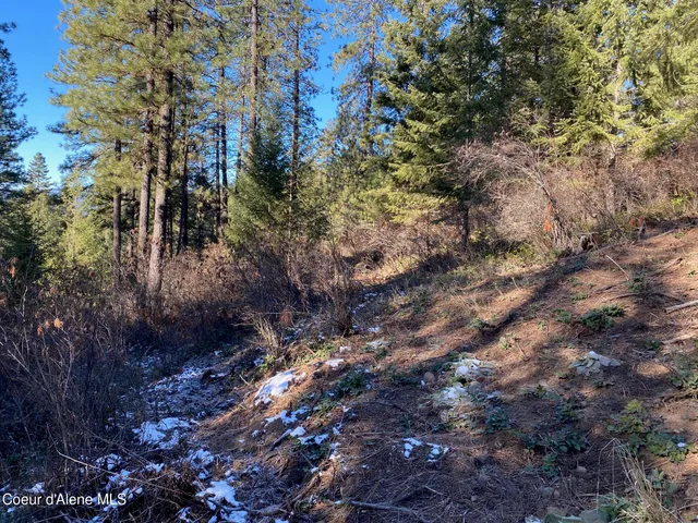 $99,900 | Nka South Edgewater Drive, Harrison, ID 83833