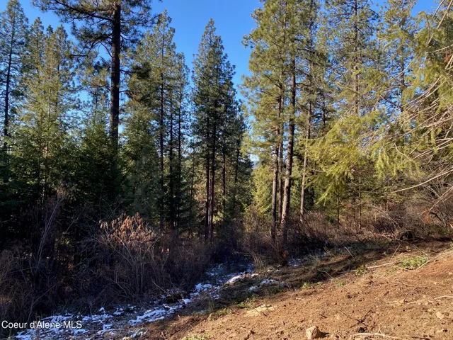 $99,900 | Nka South Edgewater Drive, Harrison, ID 83833