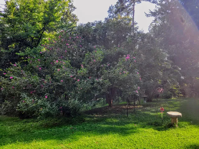 $389,990 | 12730 Weatherly Switch Road, Apison, TN 37311