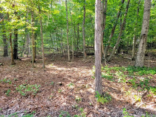 $389,990 | 12730 Weatherly Switch Road, Apison, TN 37311