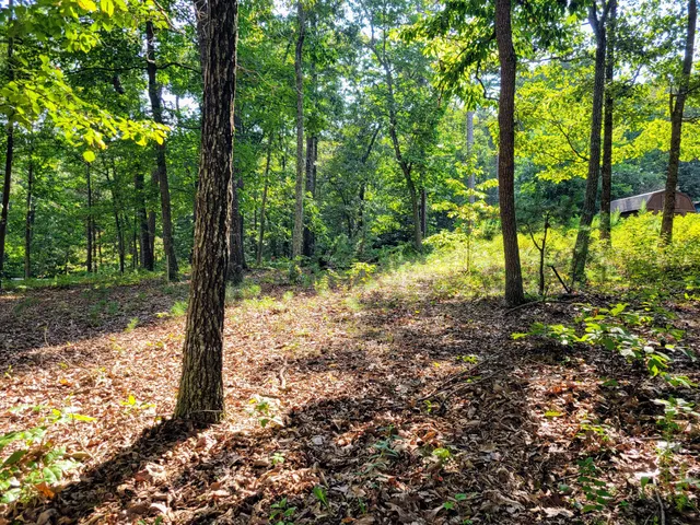 $389,990 | 12730 Weatherly Switch Road, Apison, TN 37311