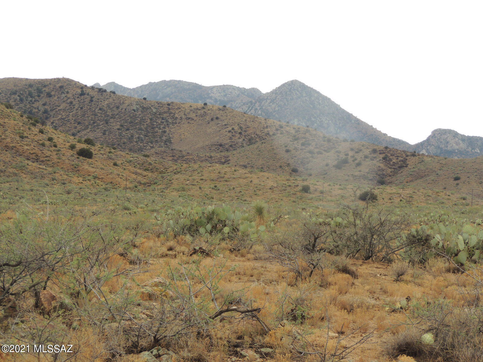40.82 Acres Mulkins Ranch Road, Unit 11 Bowie, AZ 85605 - Photo 9 of 17