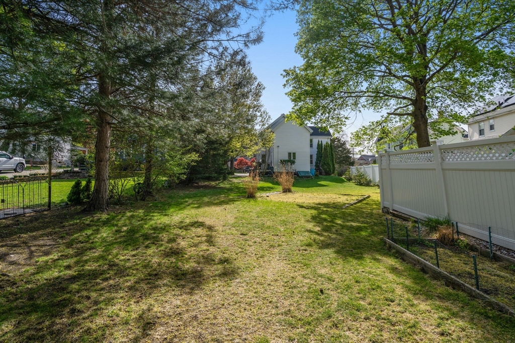 110 Mt Vernon Street Dedham, MA 02026 - Photo 34 of 35 a view of a backyard with a tree
