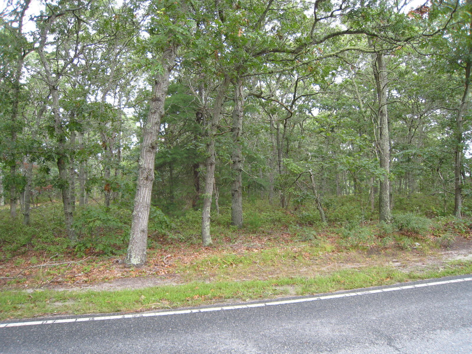 680 Setucket Road East Dennis, MA 02660 - Photo 2 of 4 IMG_4521