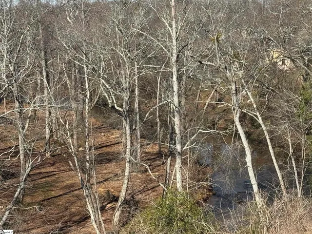 $749,632 | 639 Creekway Court, Unit RRS0036, Greer, SC 29651