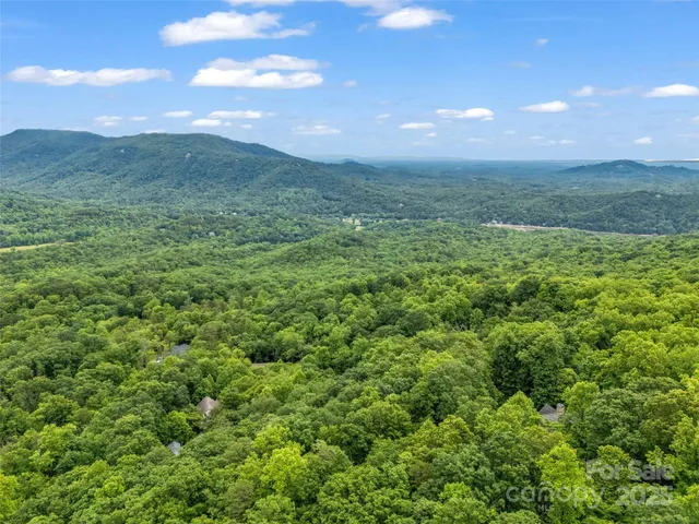 a view of a lush green forest with mountains in the background