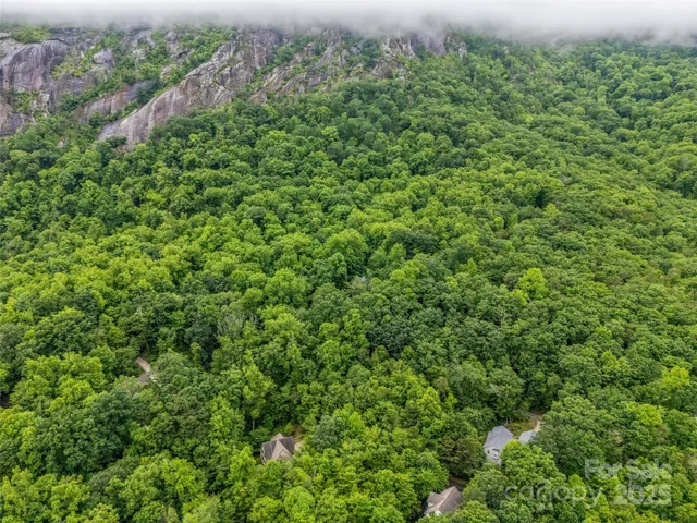 an outdoor view of a yard
