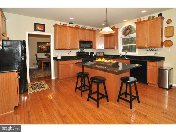 253 Scott Road Perkasie, PA 18944 - Photo 3 of 21 Kitchen