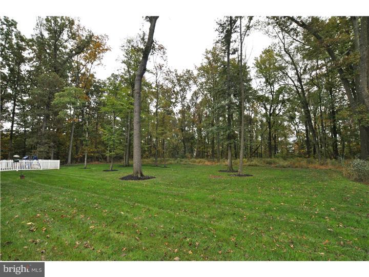 253 Scott Road Perkasie, PA 18944 - Photo 21 of 21 Back Yard