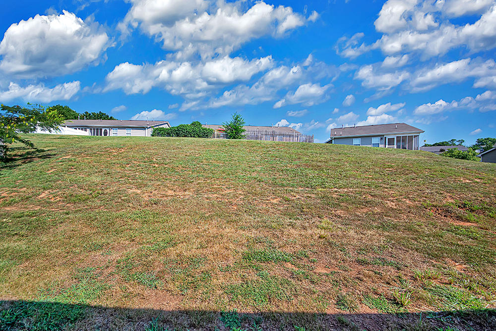 733 Spring Park Road Knoxville, TN 37914 - Photo 16 of 17 733 Spring Park Drive -13