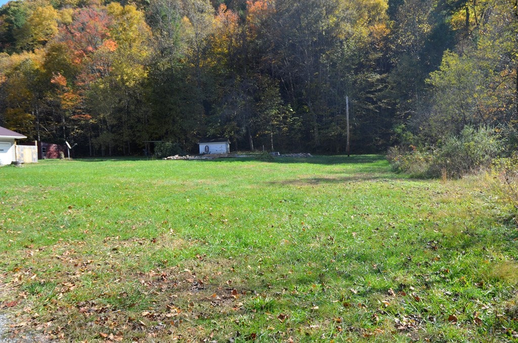 264 Congress Road Raven, VA 24639 - Photo 2 of 25 Gallery Image 2