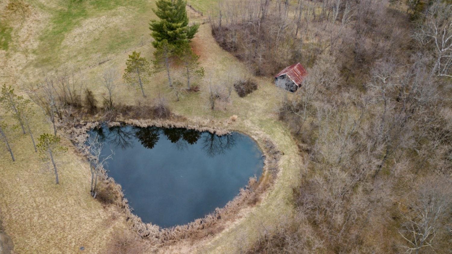 14030 Ewing Road Moores Hill, IN 47032 - Photo 11 of 20