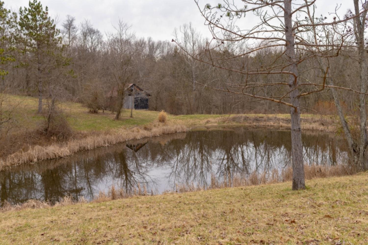 14030 Ewing Road Moores Hill, IN 47032 - Photo 14 of 20