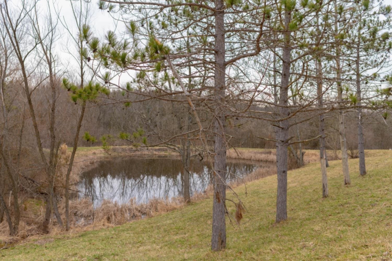 14030 Ewing Road Moores Hill, IN 47032 - Photo 17 of 20