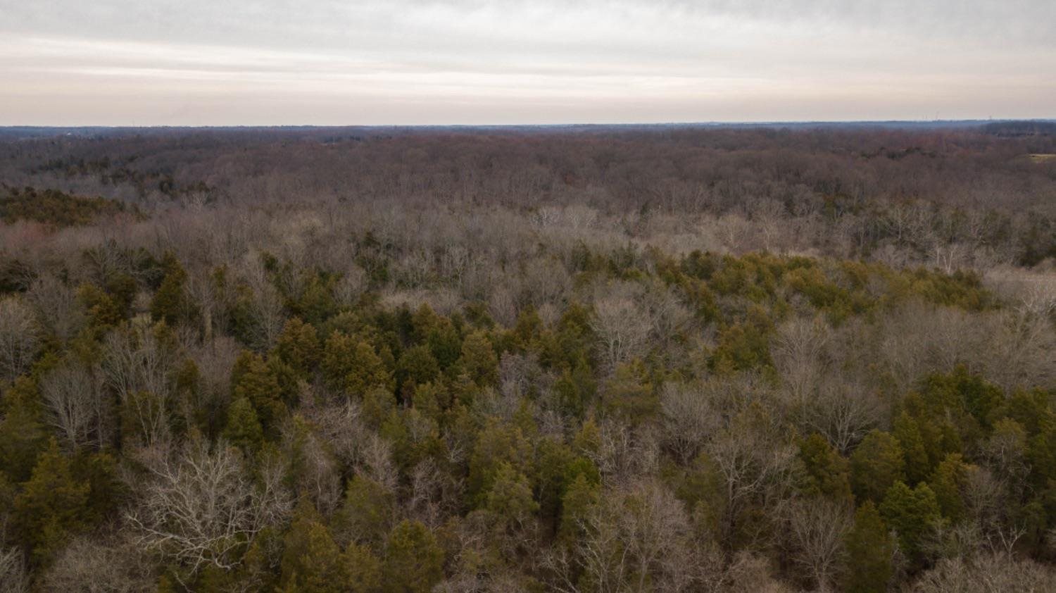 14030 Ewing Road Moores Hill, IN 47032 - Photo 3 of 20