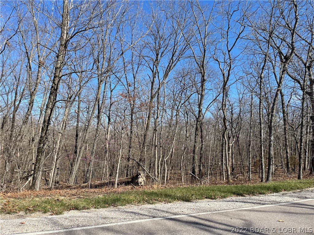 Lot 527 Newton Terrace Four Seasons, MO 65049 - Photo 1 of 7