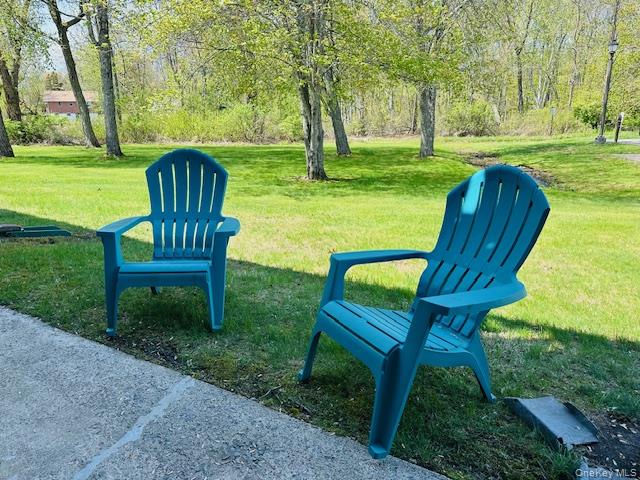125 Stringham Road, Unit 23 LaGrangeville, NY 12540 - Photo 25 of 39