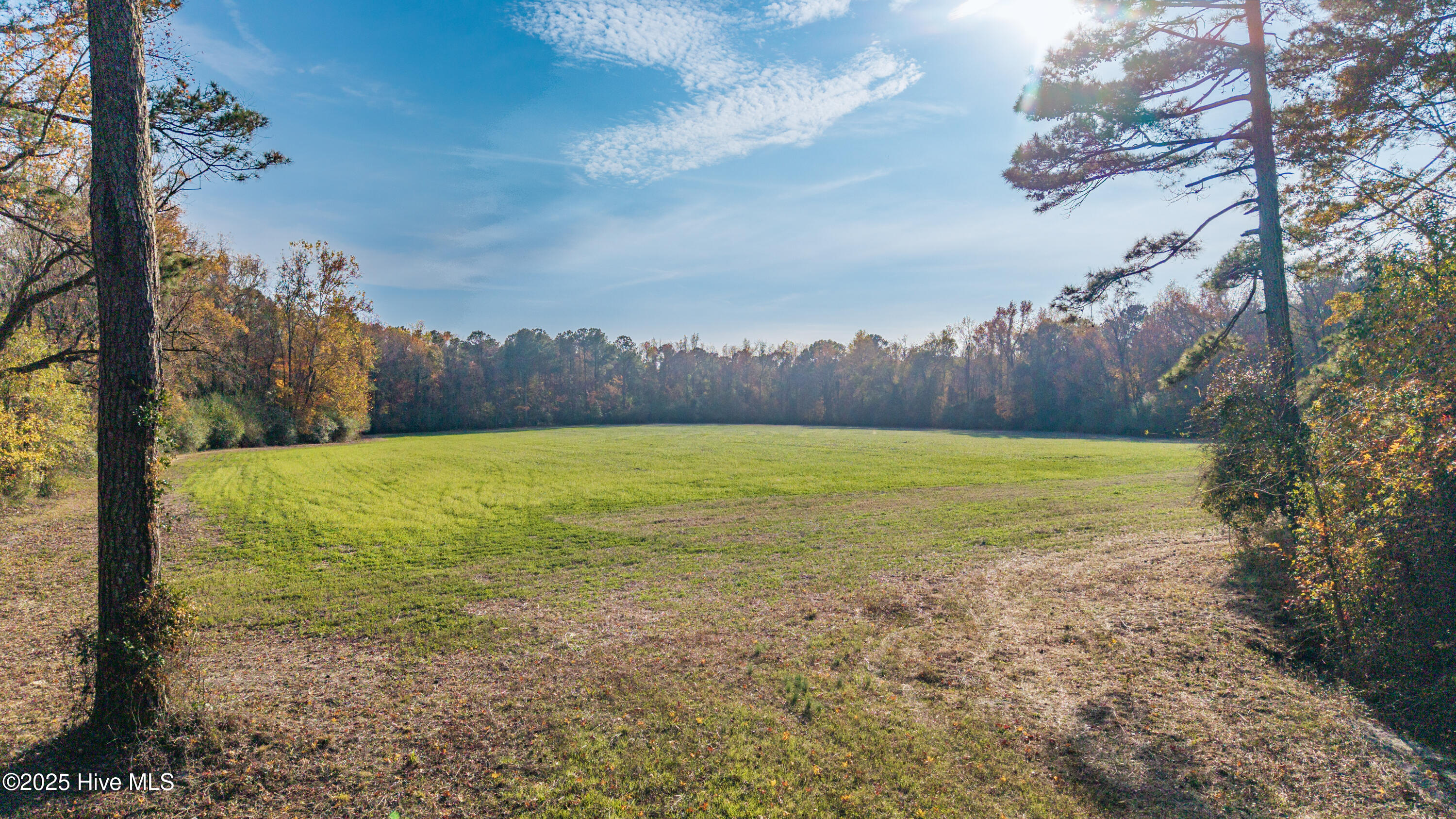 41.5-acres High School Road Teachey, NC 28464 - Photo 26 of 27 26-DJI_20251121035554_0073_D-HDR