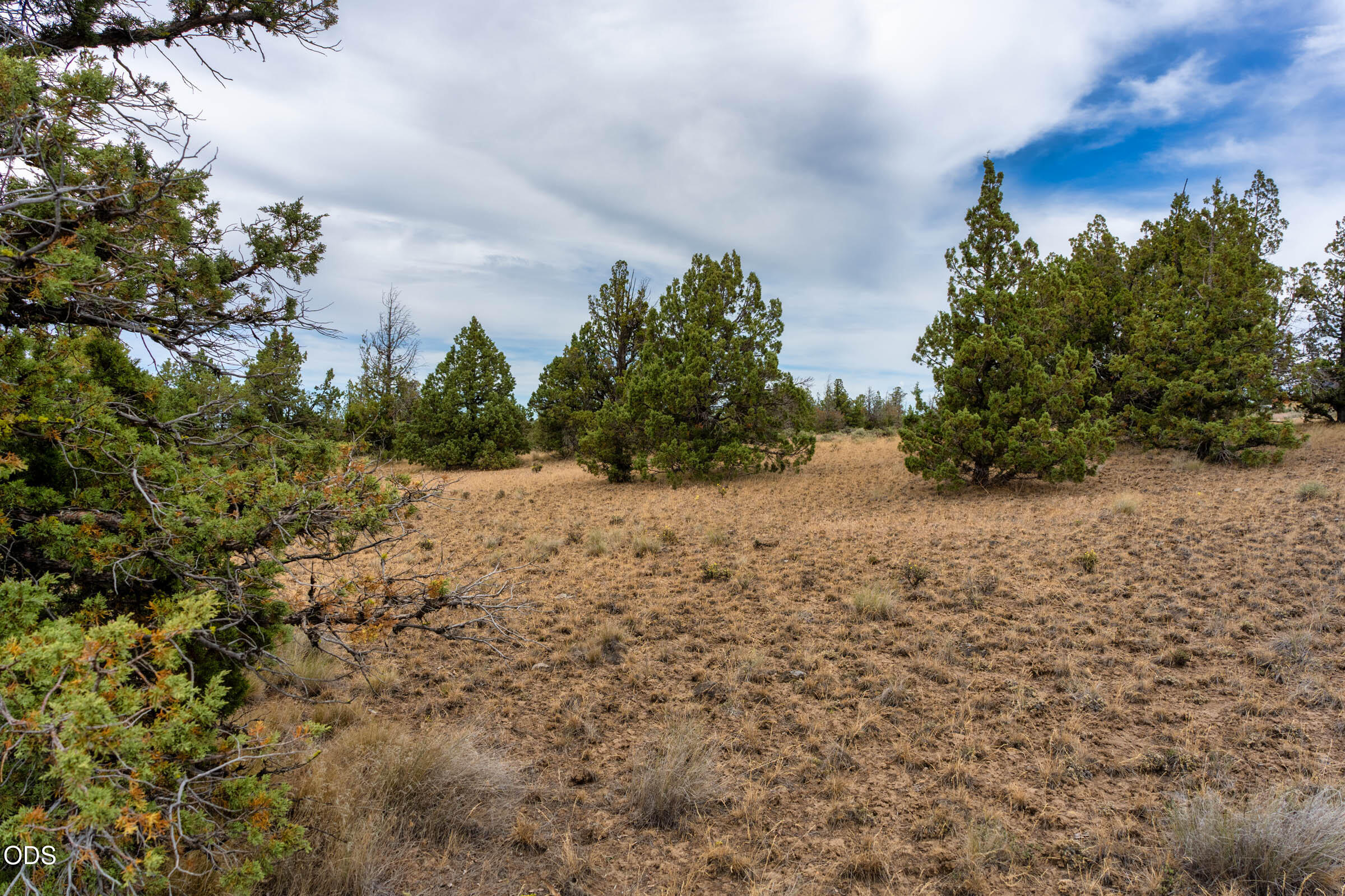 10388 Ridgeview Road Prineville, OR 97754 - Photo 10 of 27
