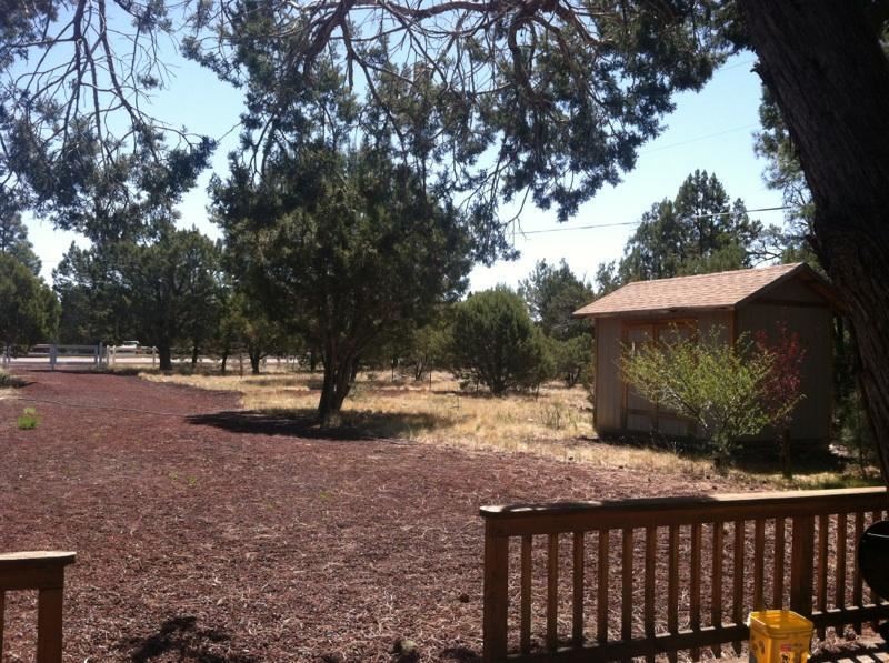 5298 Show Low Lake Road Lakeside, AZ 85929 - Photo 24 of 36 a view of a yard with plants and trees