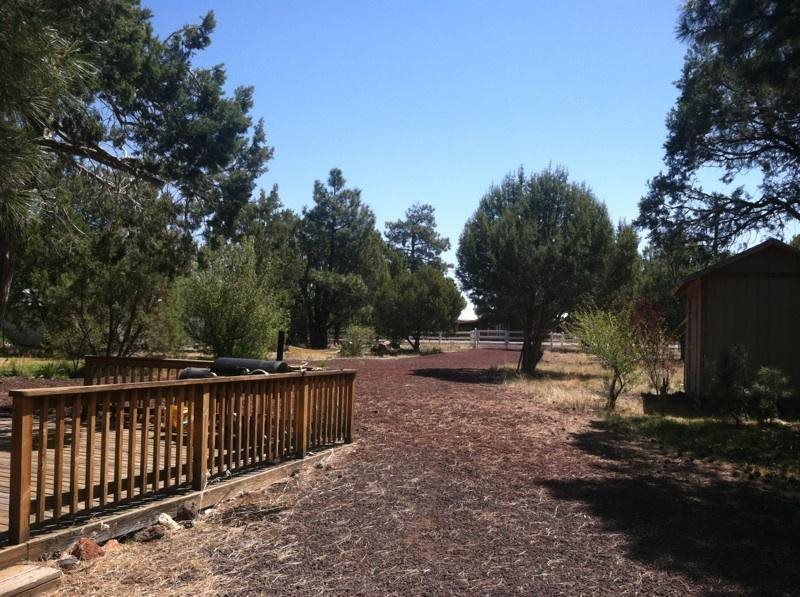 5298 Show Low Lake Road Lakeside, AZ 85929 - Photo 3 of 36 a view of a backyard with wooden fence