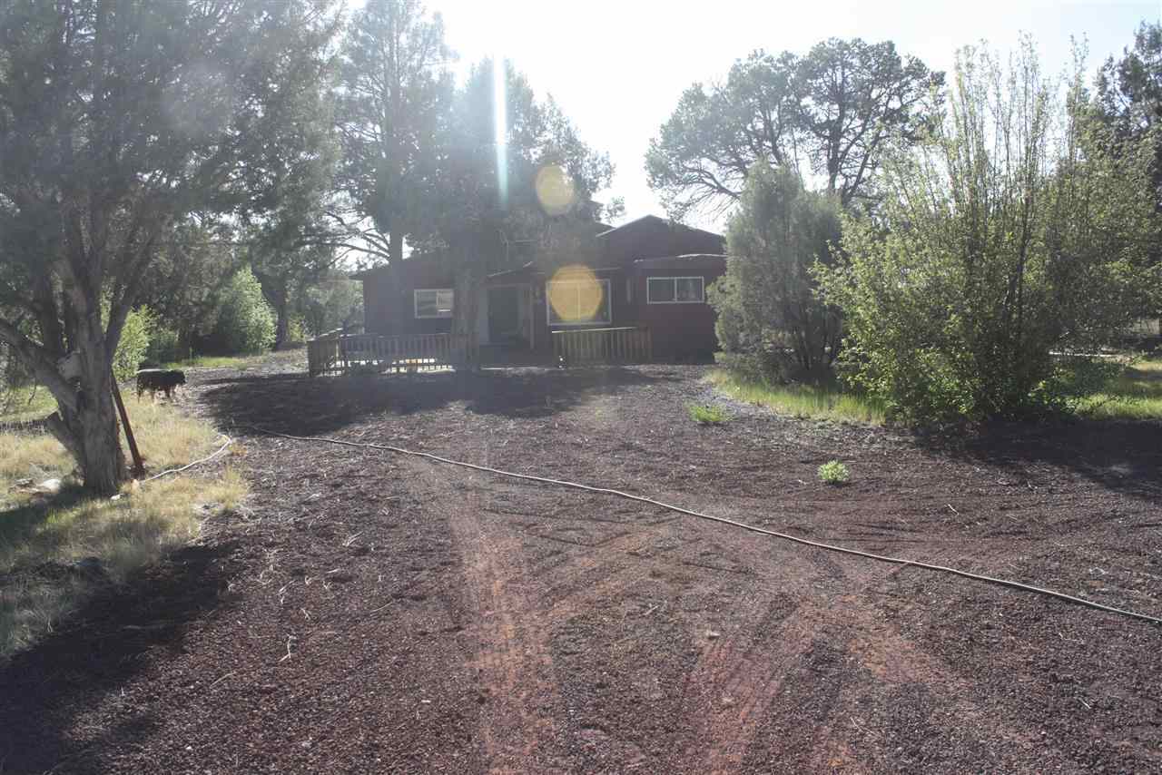 5298 Show Low Lake Road Lakeside, AZ 85929 - Photo 34 of 36 a view of a yard with a tree