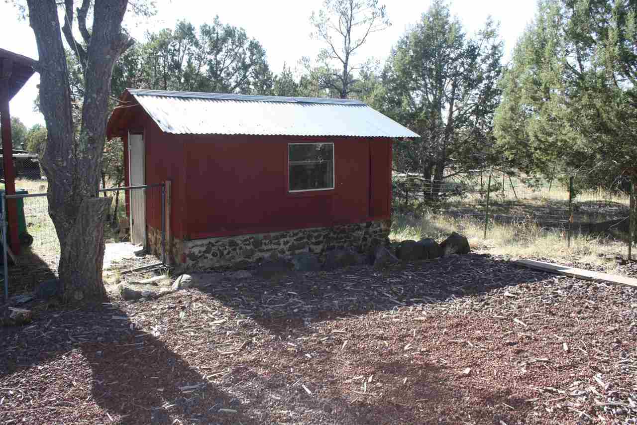 5298 Show Low Lake Road Lakeside, AZ 85929 - Photo 36 of 36 a view of a house with a yard