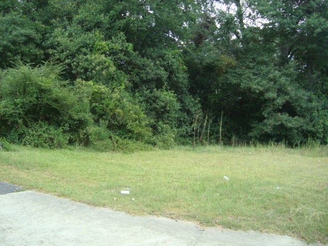 4847 Warm Springs Road Columbus, GA 31909 - Photo 2 of 6 a view of a garden