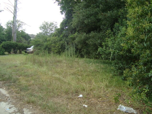 4847 Warm Springs Road Columbus, GA 31909 - Photo 5 of 6 a view of a lush green space and trees