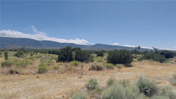 a view of a dry yard with mountains in the background