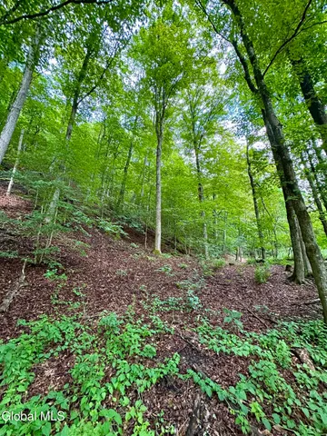 $169,900 | 1166 Hauverville Road, Middleburgh, NY 12122