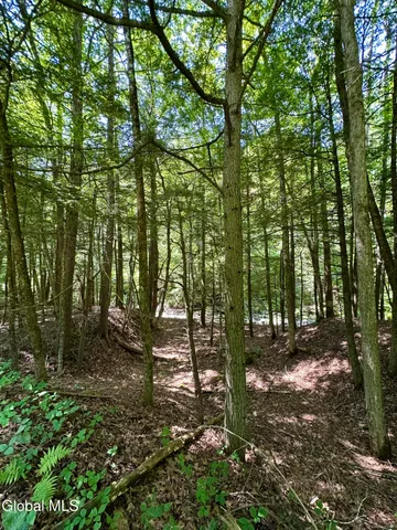 $169,900 | 1166 Hauverville Road, Middleburgh, NY 12122