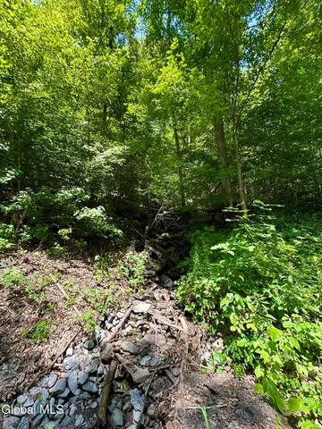 $169,900 | 1166 Hauverville Road, Middleburgh, NY 12122