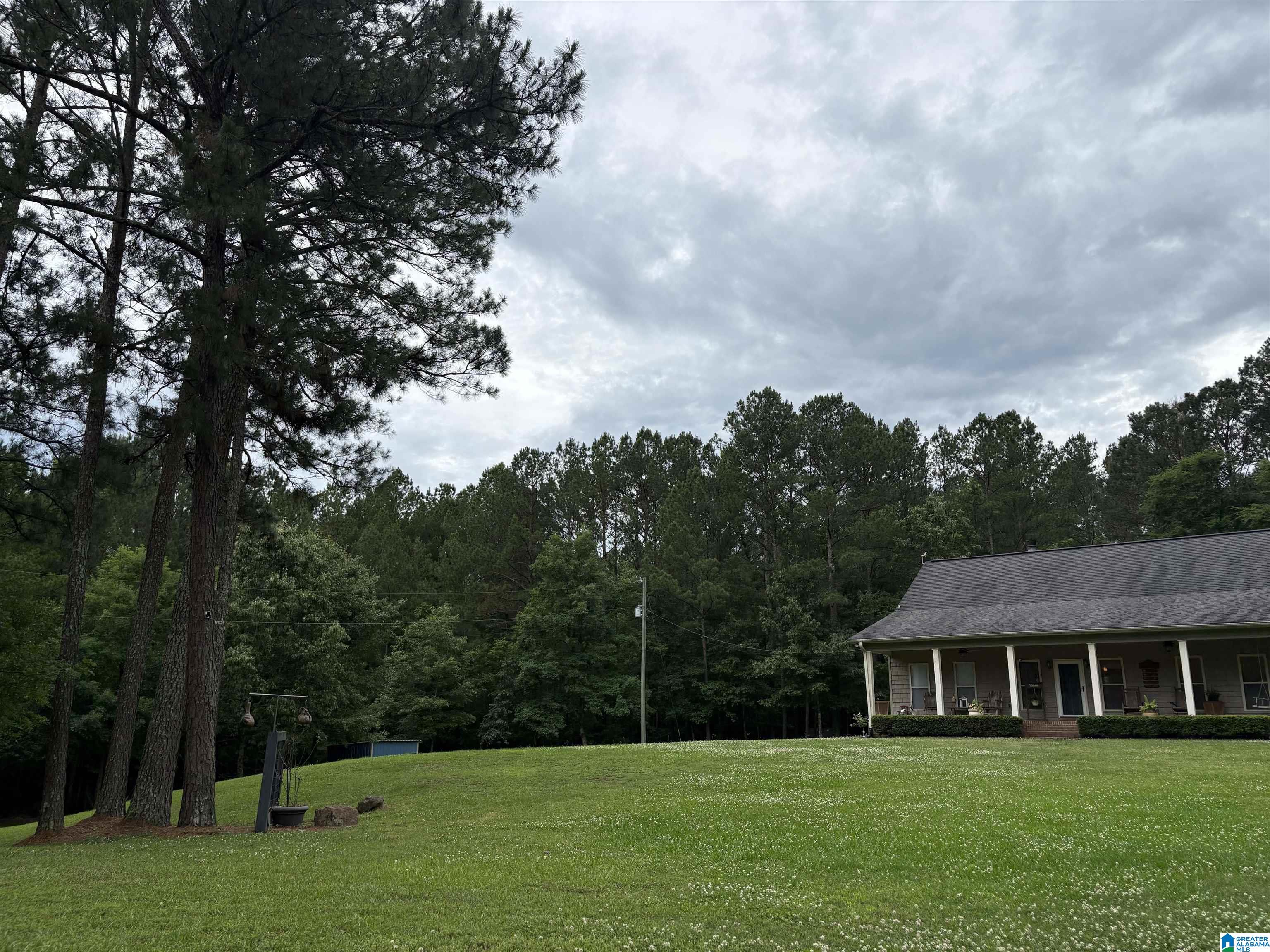 1322 Mitchellville Road Ohatchee, AL 36271 - Photo 5 of 51