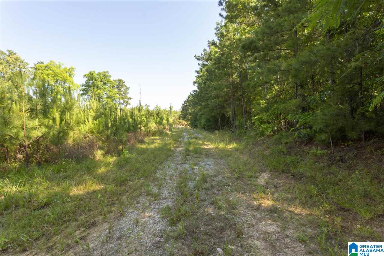 948 Old Deer Creek Road Sterrett, AL 35147 - Photo 5 of 19