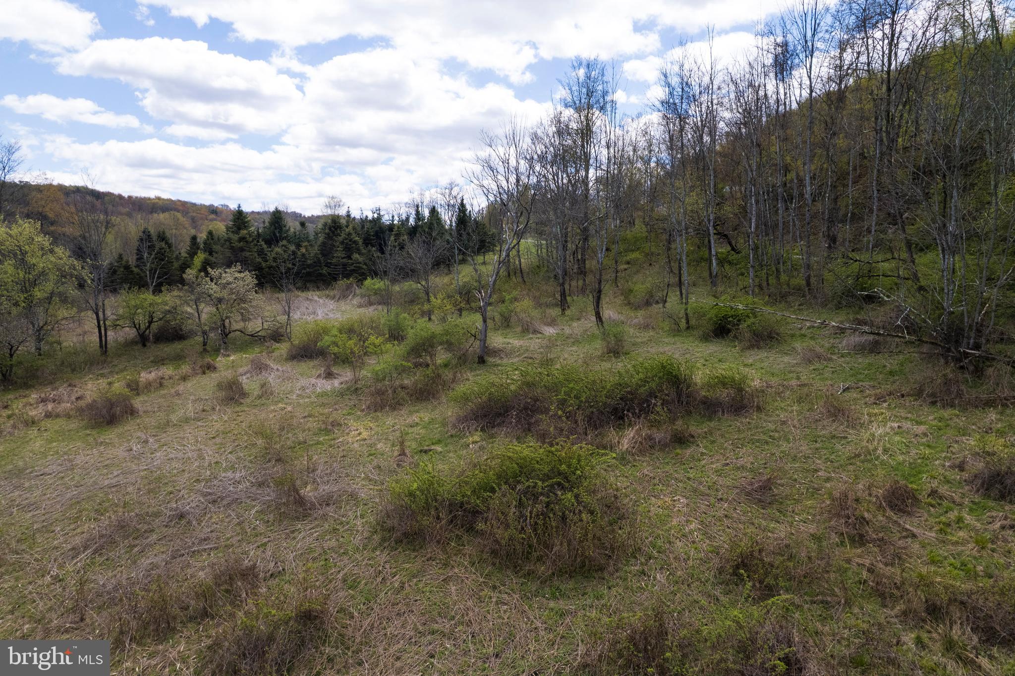 0 Holbrook Road Montrose, PA 18801 - Photo 41 of 147