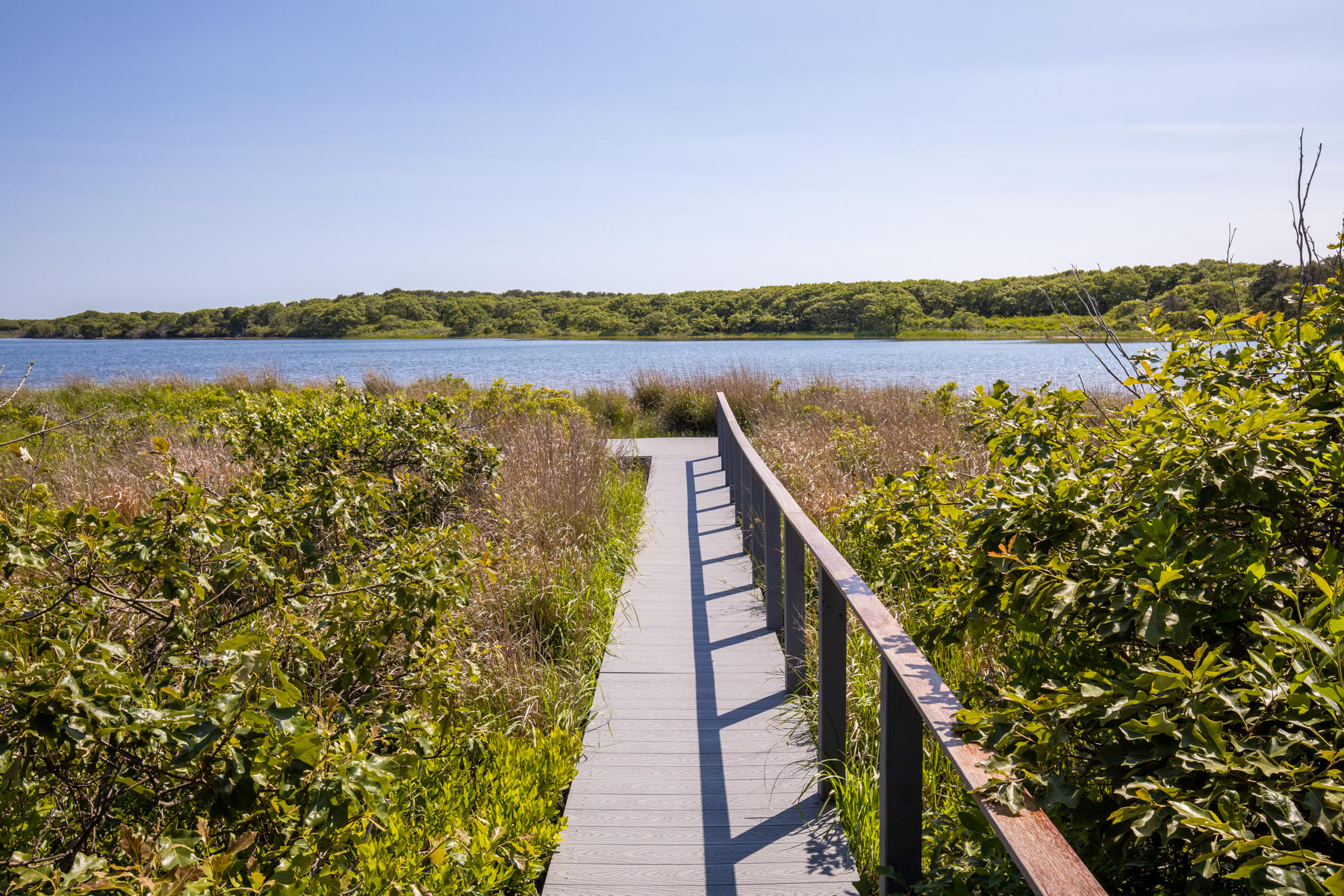 10 Jacob's Neck Road Edgartown, MA 02539 - Photo 31 of 31 Boardwalk to the pond