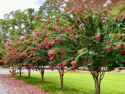$2,380,000 | 1018 Terrell Woods Lane, Chapel Hill, NC 27516