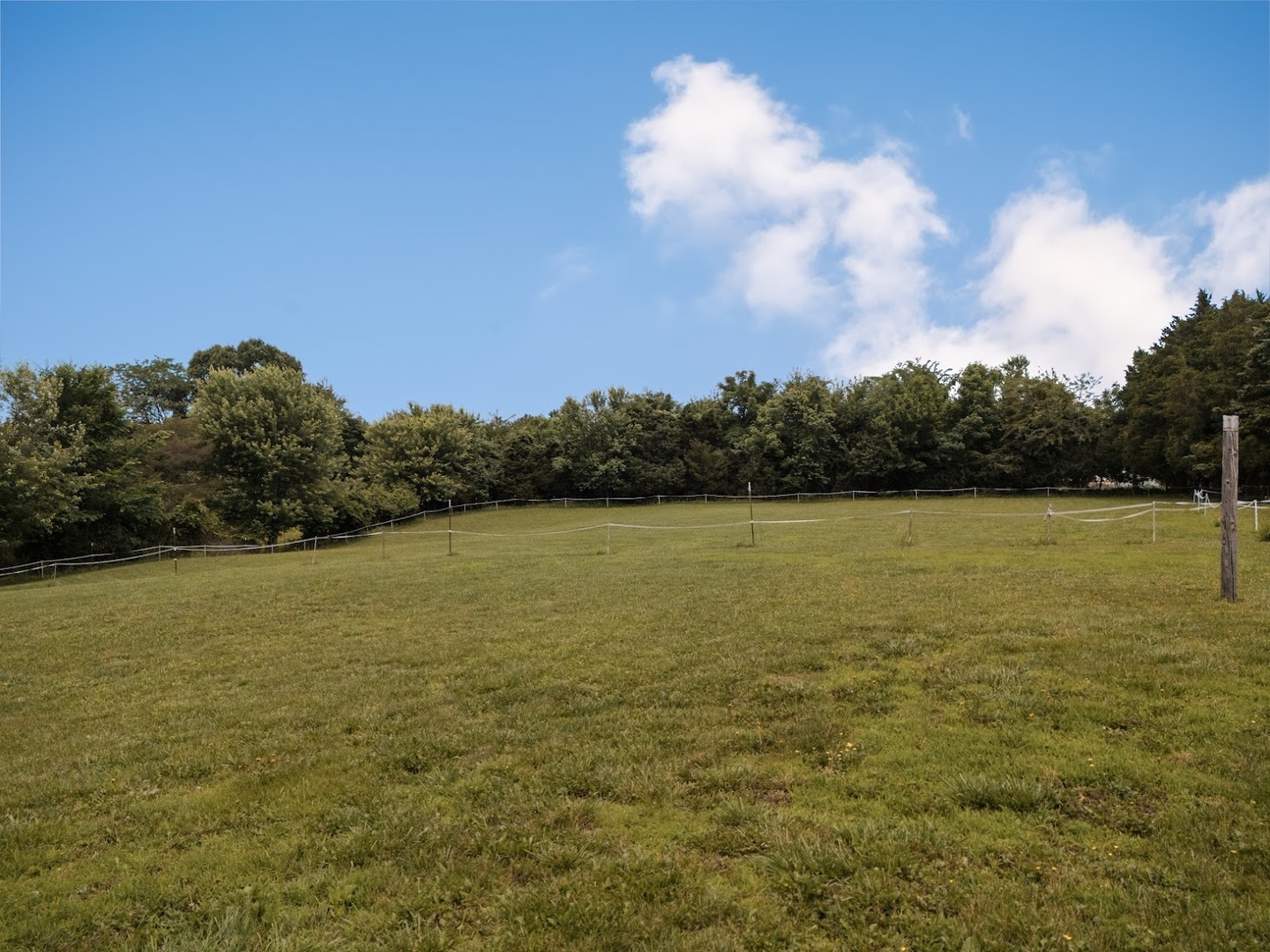 3470 Friendship Loop Goreville, IL 62939 - Photo 28 of 33