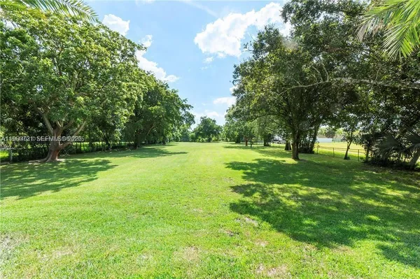a view of a park with large trees