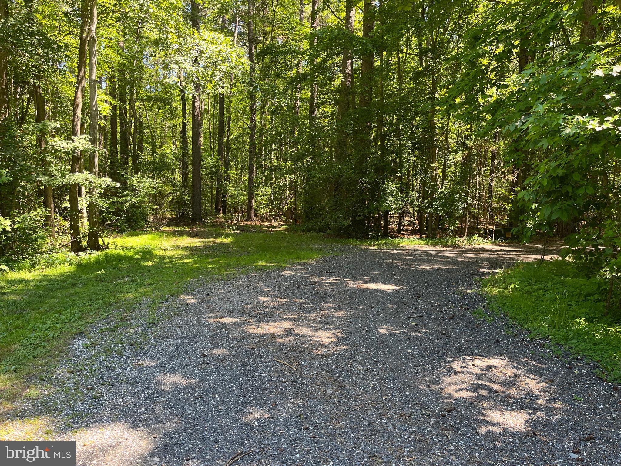 979 Barney Jenkins Road Felton, DE 19943 - Photo 10 of 14