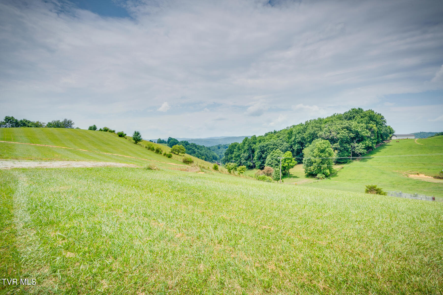 Lot 26 Dry Hill Road, Unit 26 Butler, TN 37640 - Photo 6 of 16 003