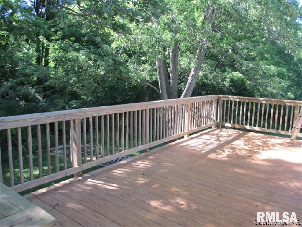 545 Thady Road Murrayville, IL 62668 - Photo 8 of 10