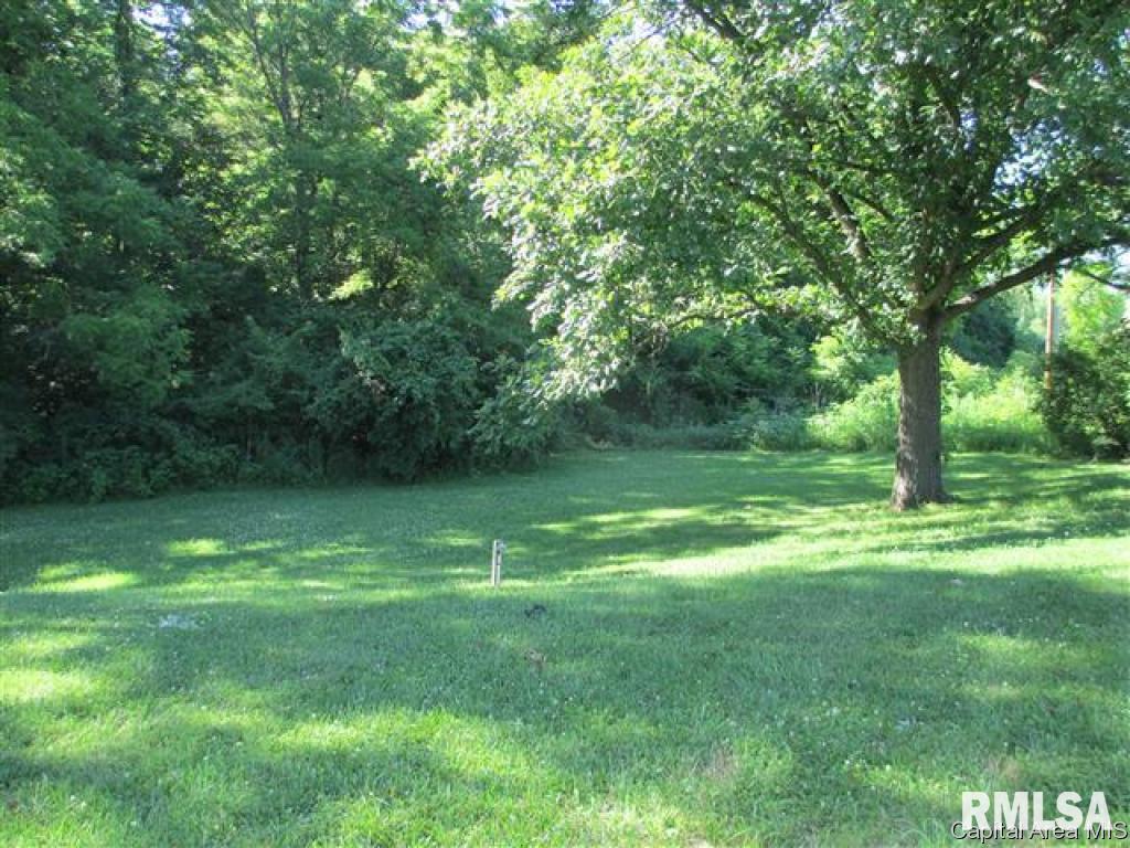 545 Thady Road Murrayville, IL 62668 - Photo 10 of 10